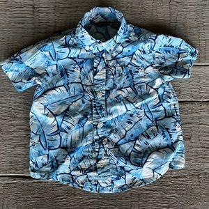 Janie and Jack Button down 18-24 months